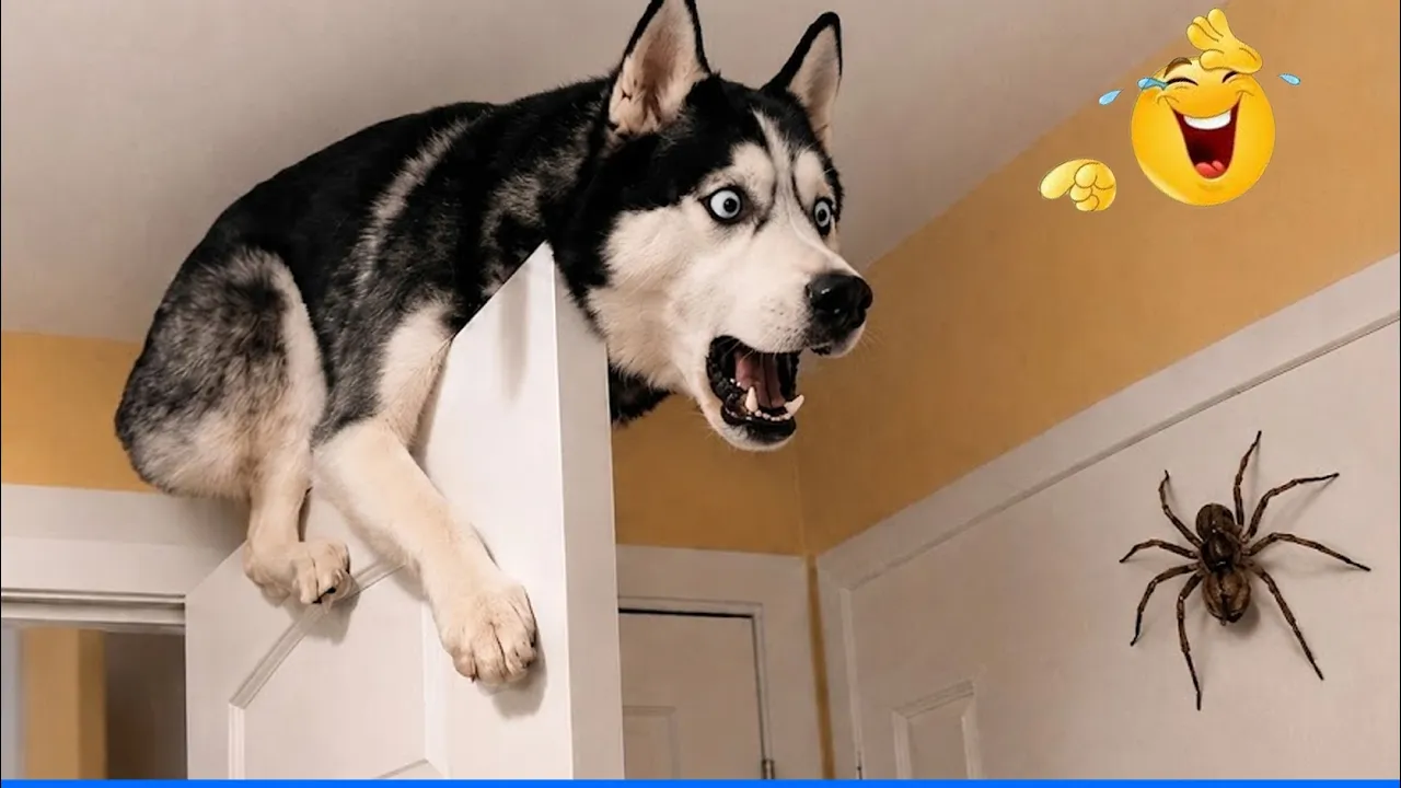 Смейся до упаду: Самые смешные коты и собаки 2026 года! 😹🐶