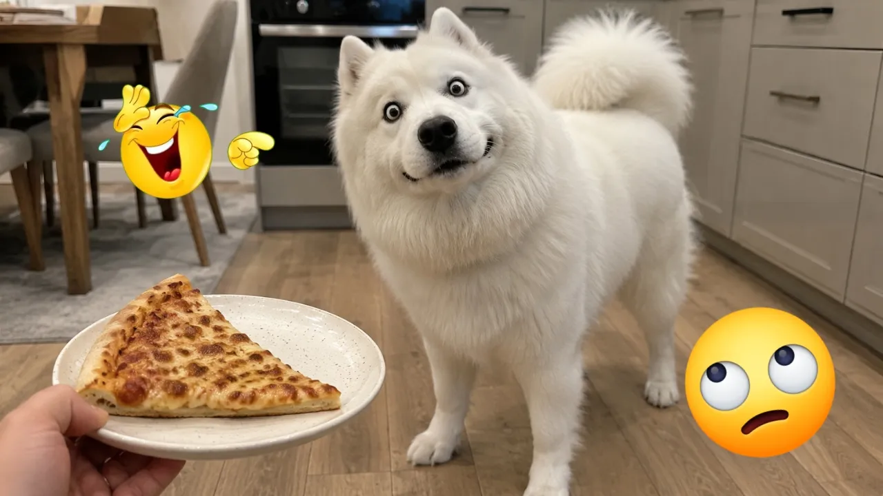 Смешные собаки 2026: Реакции, от которых невозможно не смеяться! 😂🐶