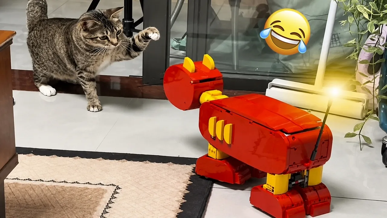 Смешные животные 2026: Коты и собаки, от которых невозможно удержать смех 😂 Челлендж "Не смейся"