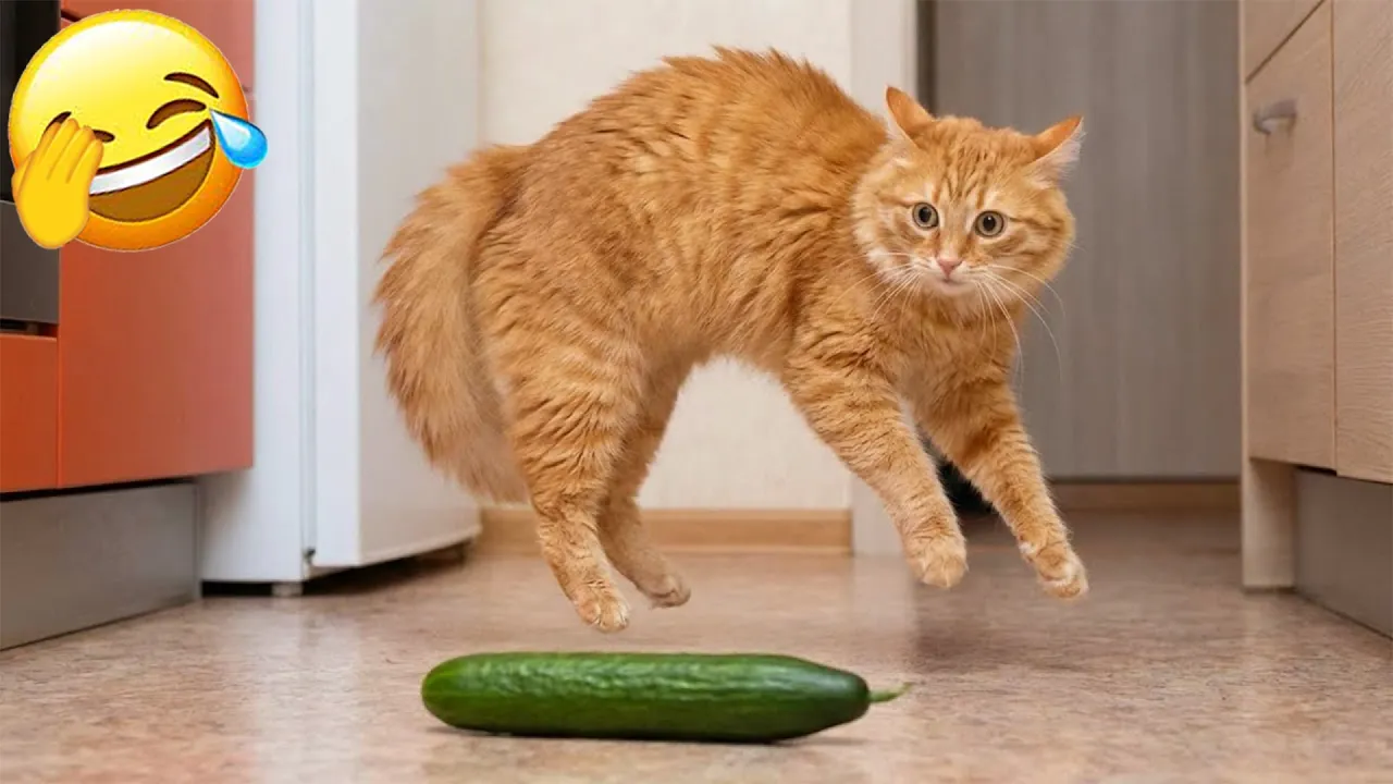 You Laugh You Lose: Самые смешные коты и собаки 2026 😹 Не улыбнешься — выигрываешь!