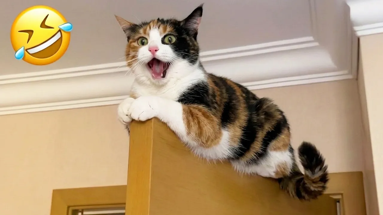 Попробуй не смеяться 😂 Лучшие промахи животных 2026 🐶😹