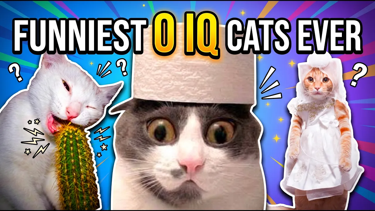 Самые смешные коты 0 IQ: Кактус, ловушки и безумные фейлы 2026 😂